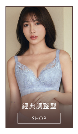 經典調整型