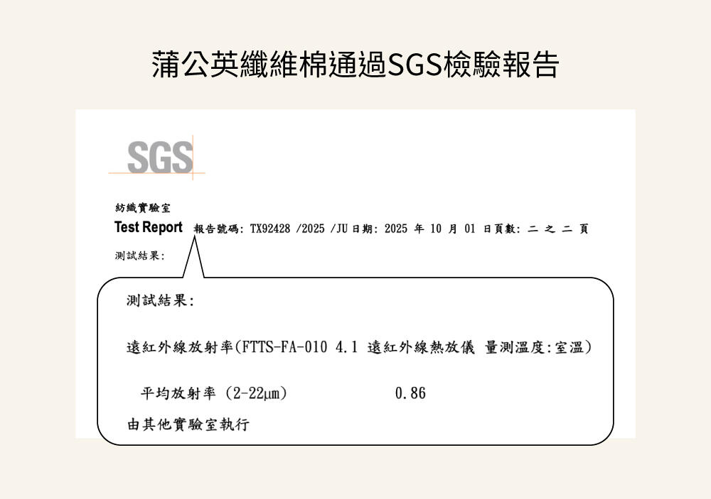 BRI311 無痕雲朵包覆內褲單件 8色